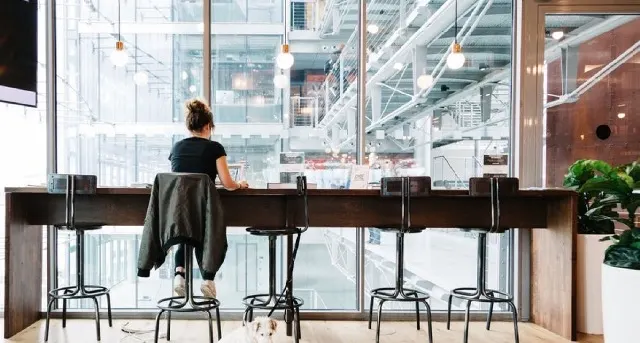 WeWork Sony Center, Kemperplatz 1 — virtual office and business address building — photo 3