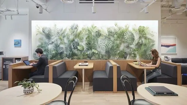 WeWork Nippon Tv Yotsuya Building, 東京都千代田区麹町5-3-23 日テレ四谷ビル 1F — virtual office and business address building — photo 3